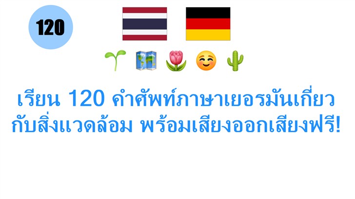 เรียน 120 คำศัพท์ภาษาเยอรมันเกี่ยวกับสิ่งแวดล้อม พร้อมเสียงออกเสียงฟรี!